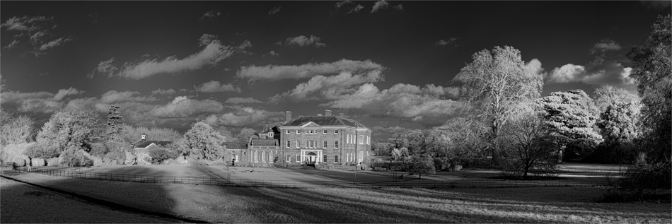 Captured at Hatchlands Park on 10 Dec2025 by Richard Milton-Worssell